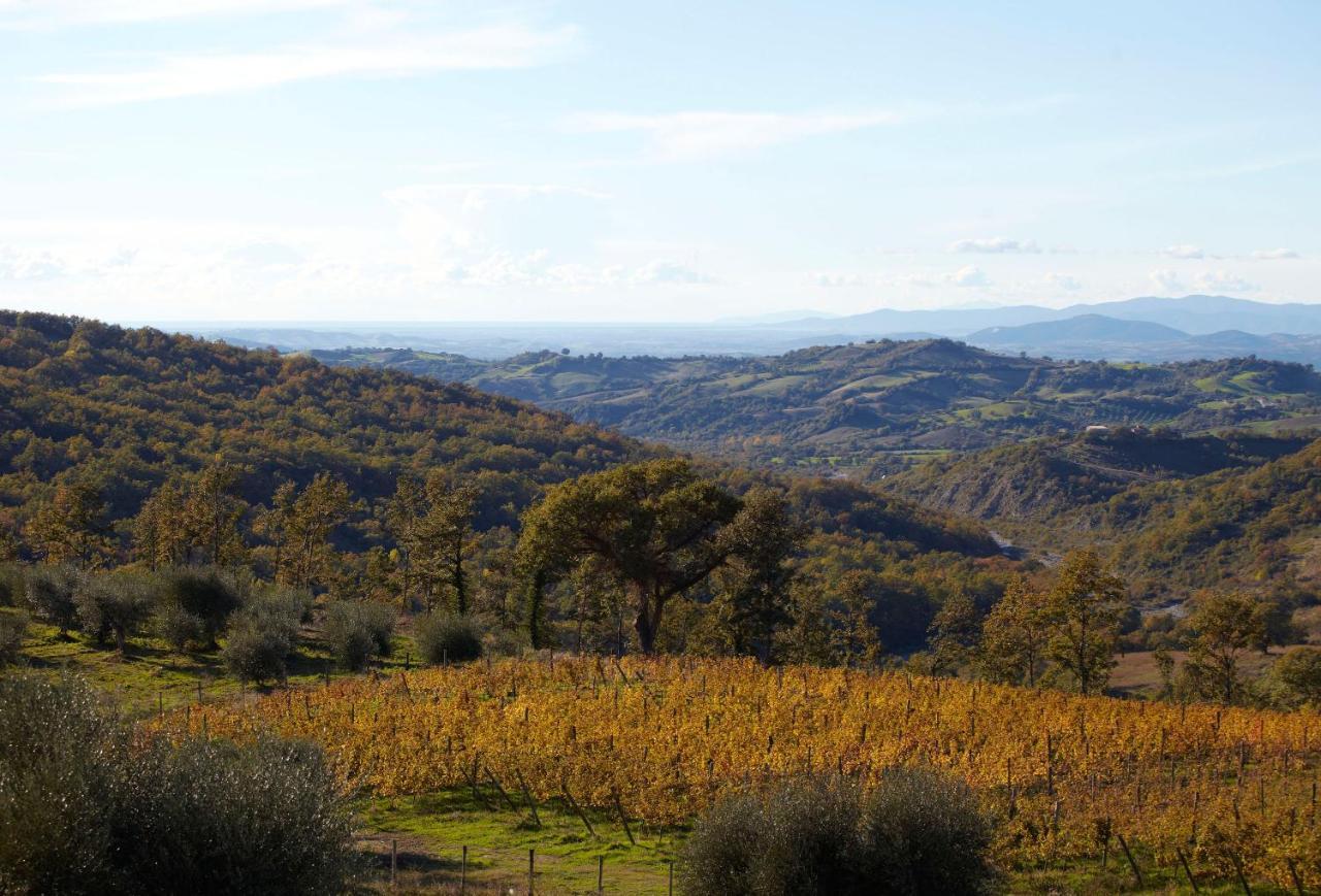 הוילה Stribugliano Fattoria La Pieve מראה חיצוני תמונה